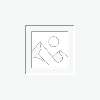 Cras viverra rhoncus